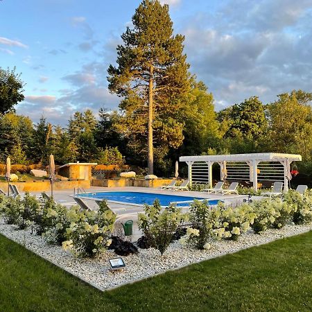 Villa Elise Park Pension Stronie Śląskie Zewnętrze zdjęcie