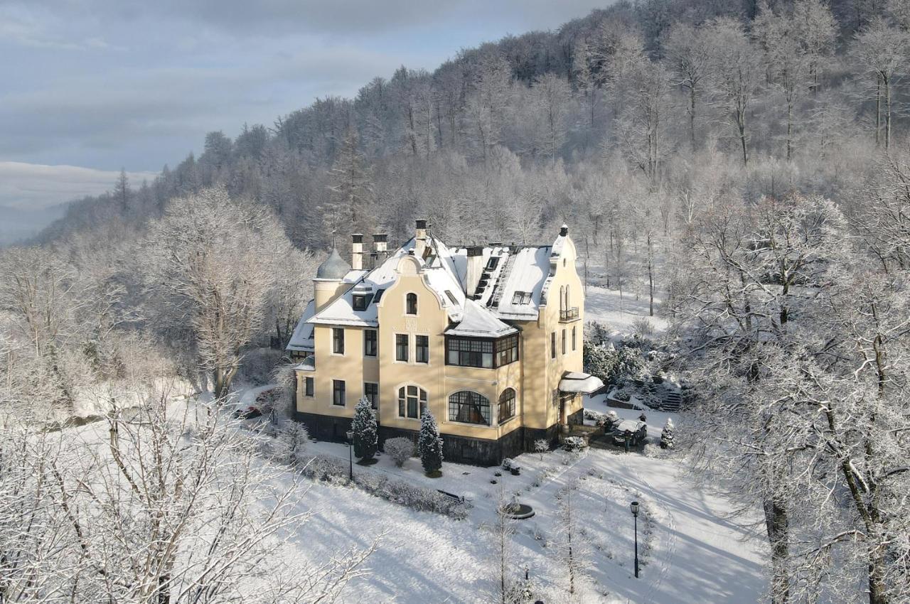 Villa Elise Park Pension Stronie Śląskie Zewnętrze zdjęcie