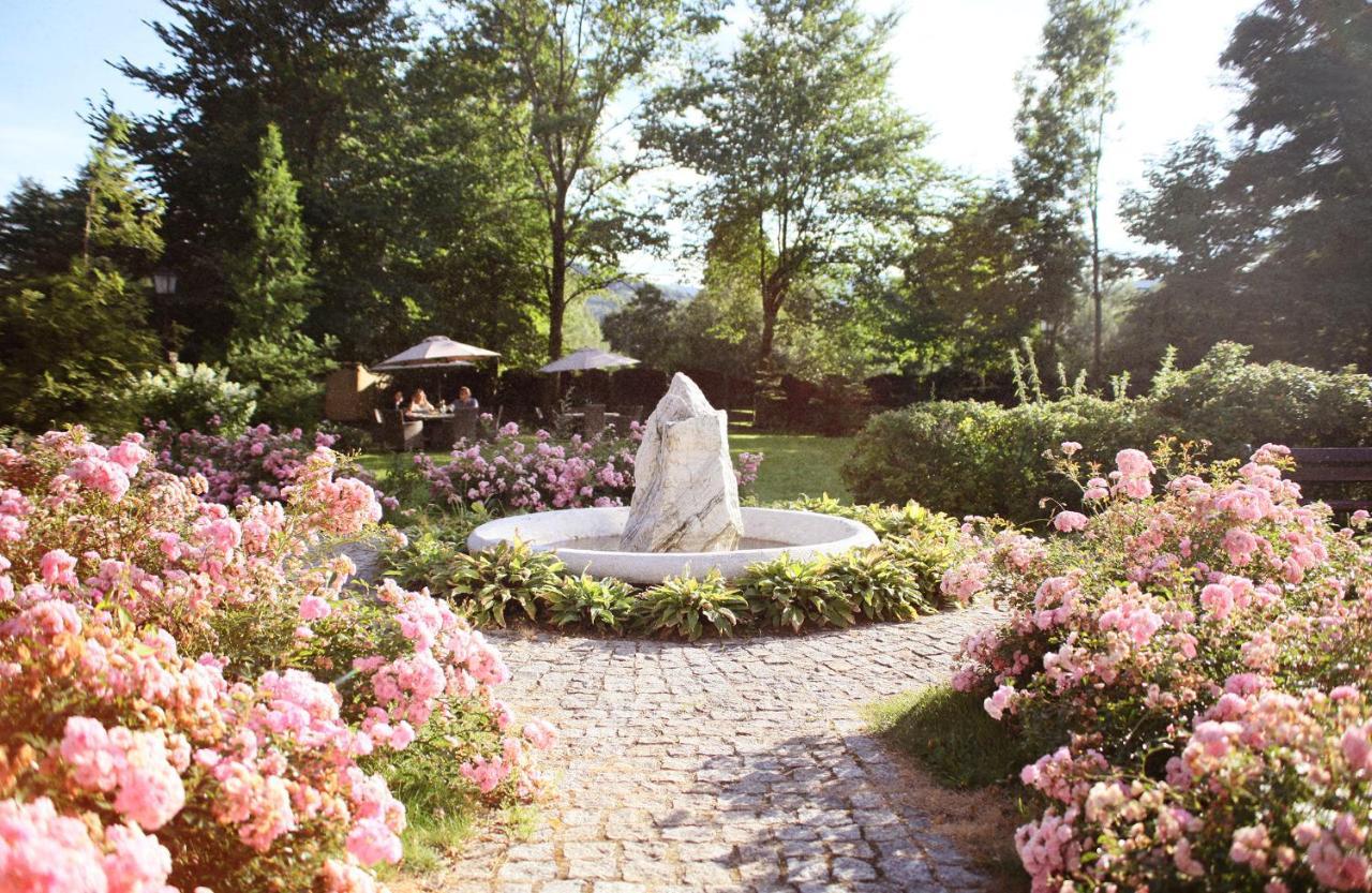 Villa Elise Park Pension Stronie Śląskie Zewnętrze zdjęcie