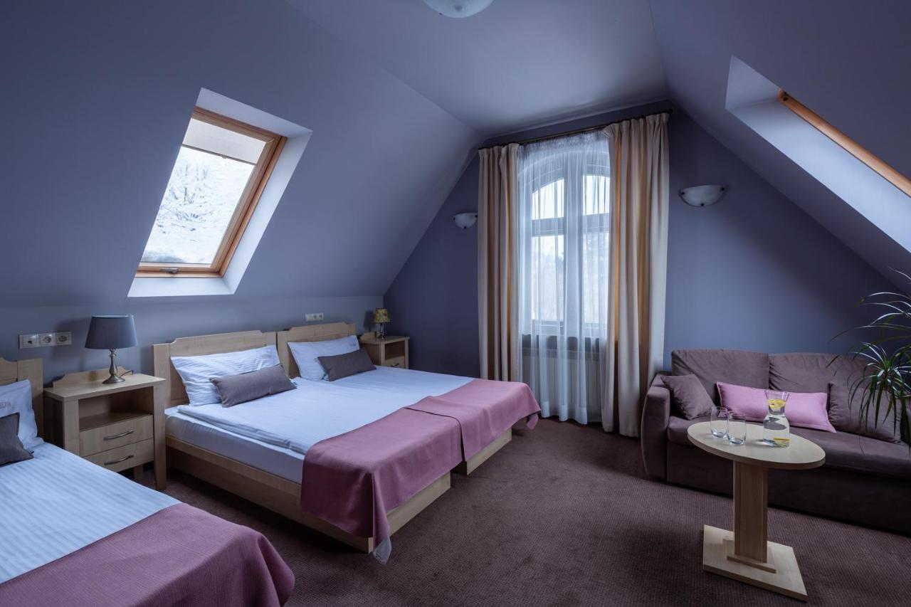 Villa Elise Park Pension Stronie Śląskie Zewnętrze zdjęcie
