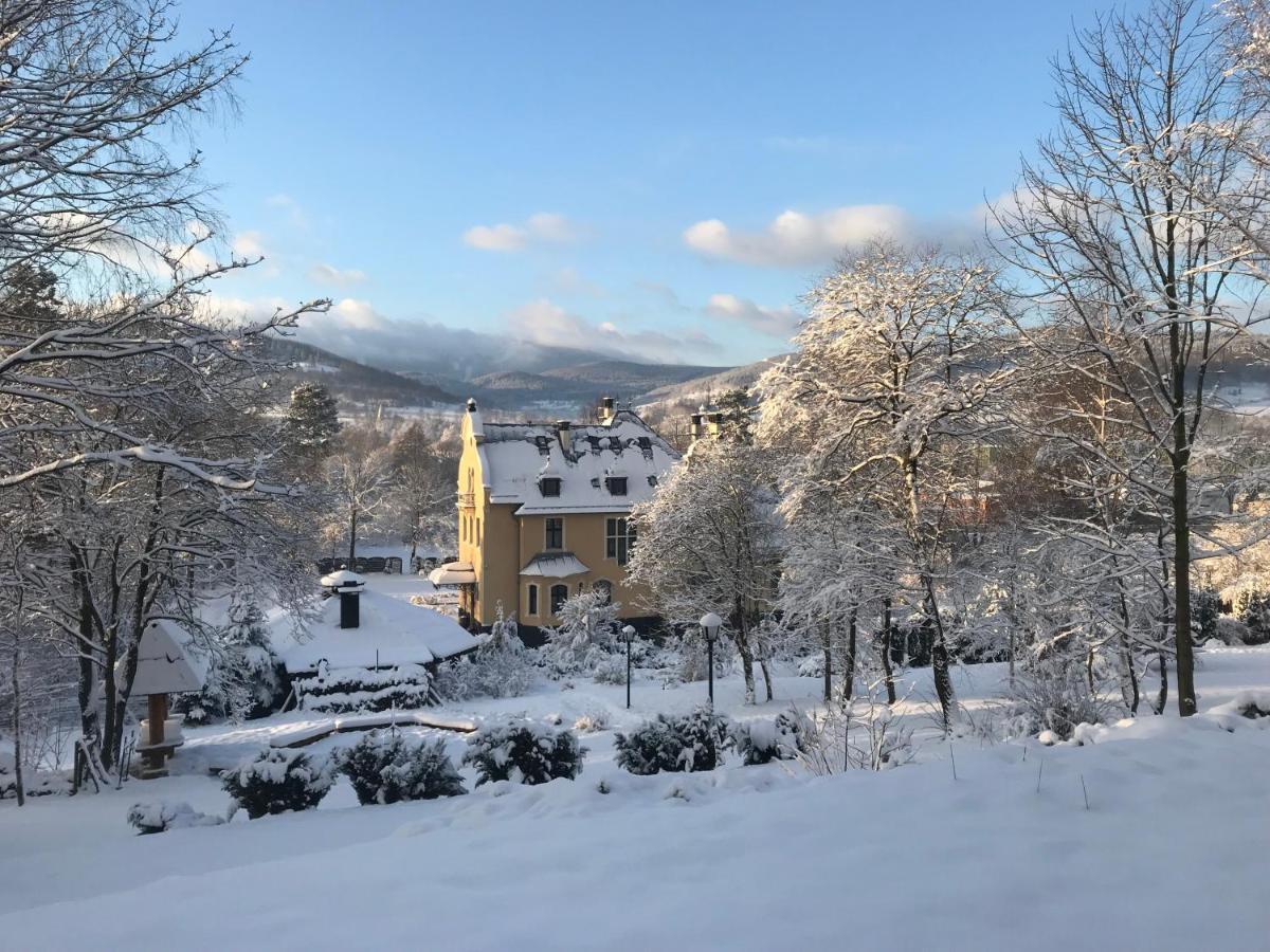 Villa Elise Park Pension Stronie Śląskie Zewnętrze zdjęcie
