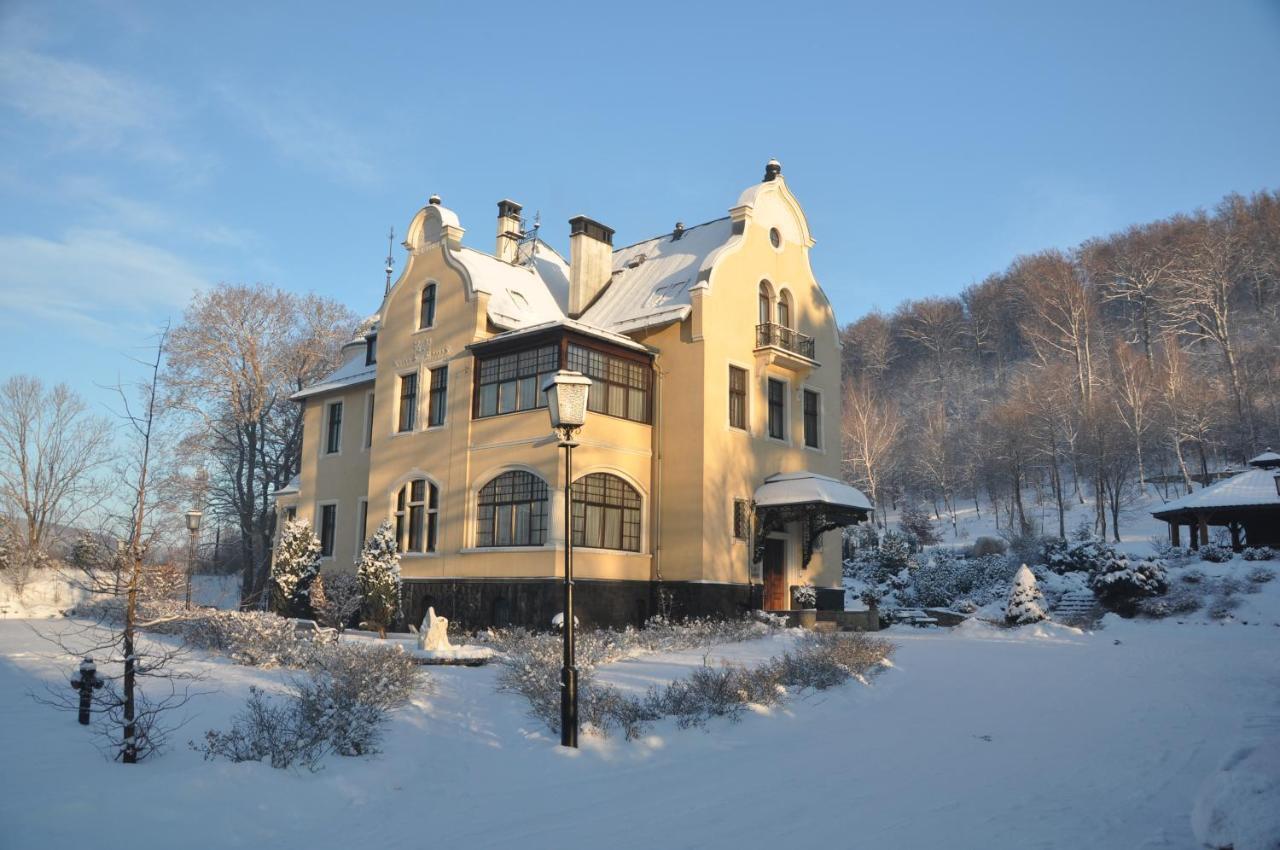 Villa Elise Park Pension Stronie Śląskie Zewnętrze zdjęcie
